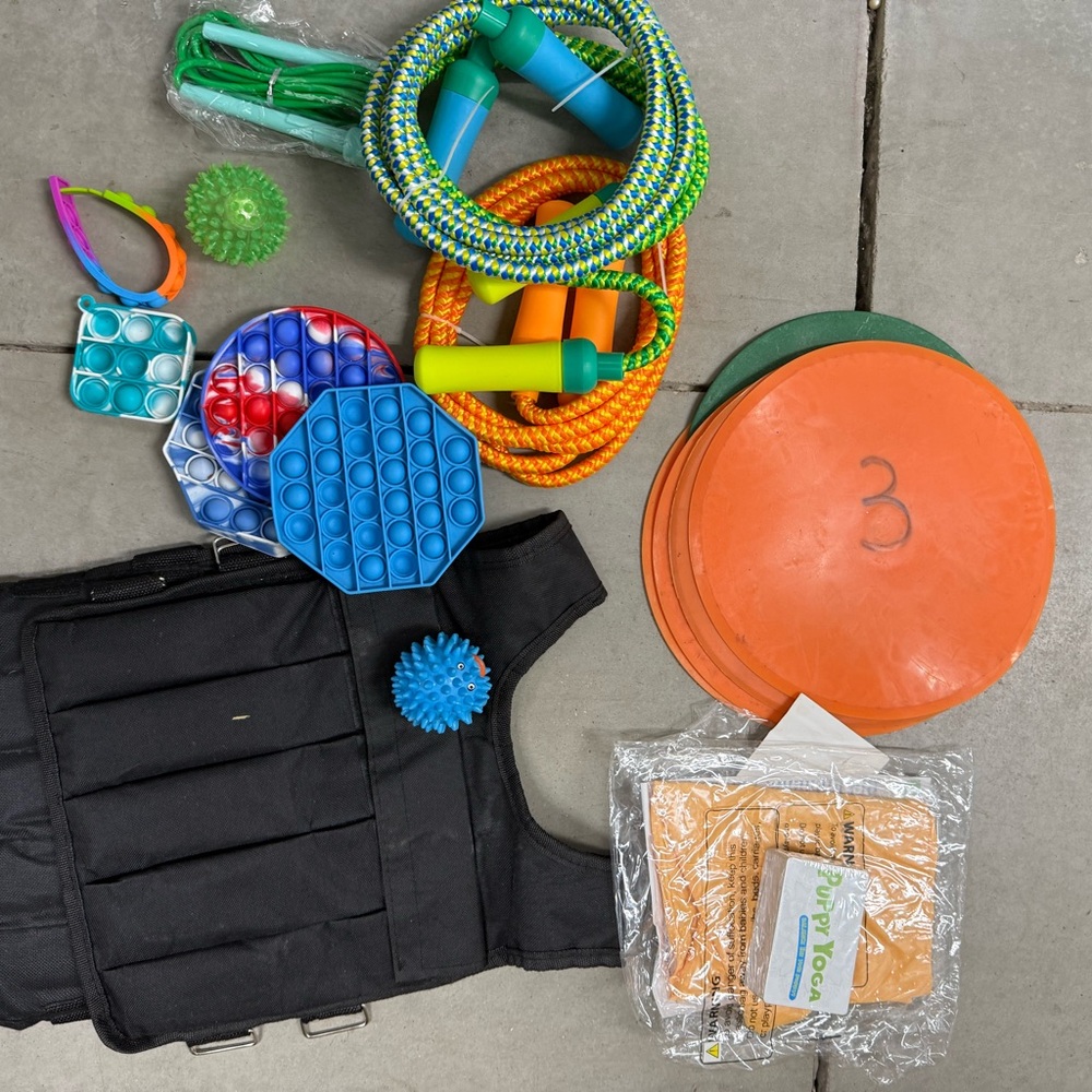 Sensory integration Tools/Toys with a weighted vest OK and Yoga puppy game